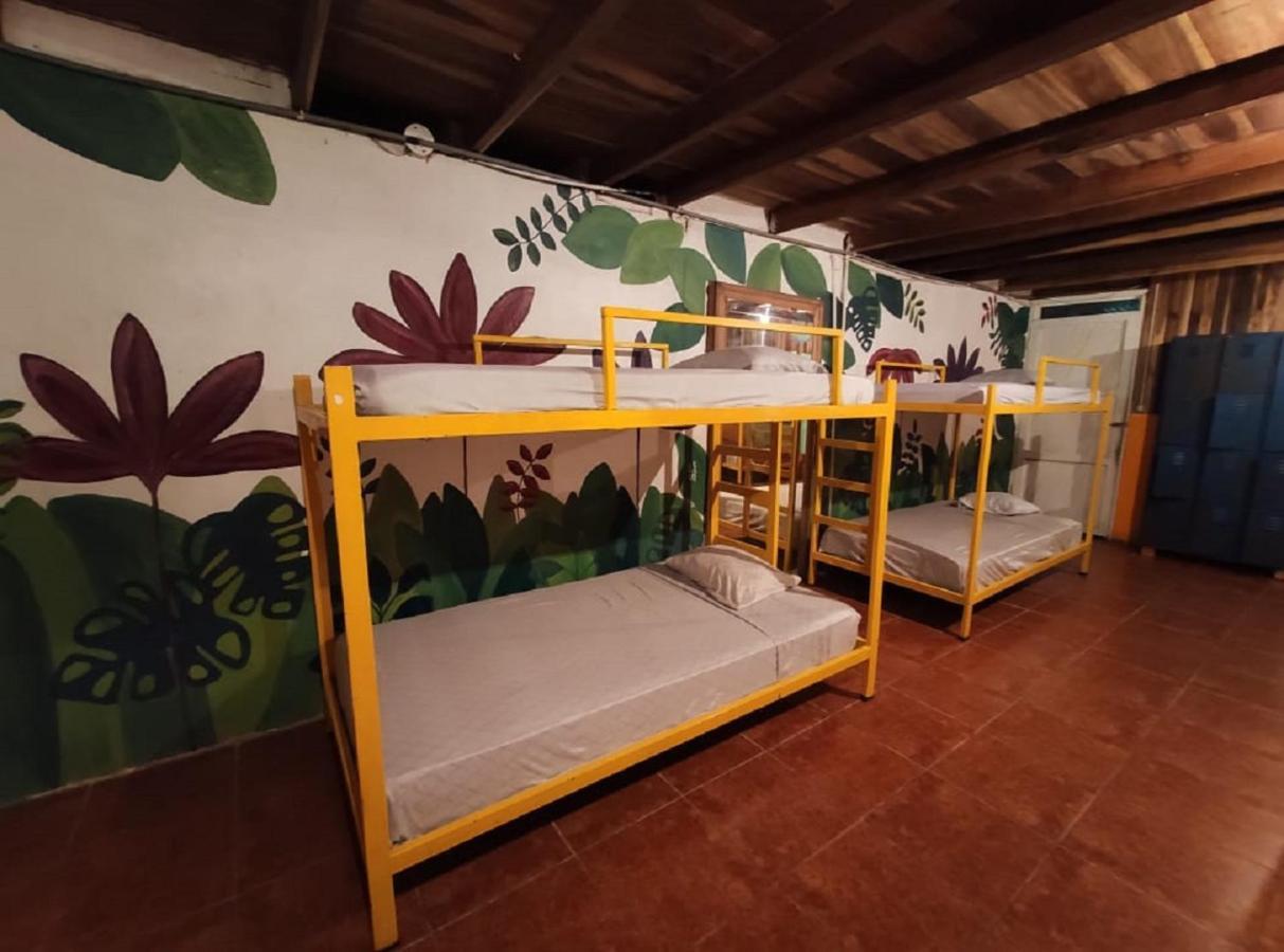 Madre Selva Hostel Puerto Viejo de Talamanca 外观 照片