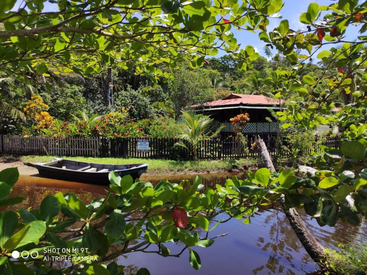Madre Selva Hostel Puerto Viejo de Talamanca 外观 照片
