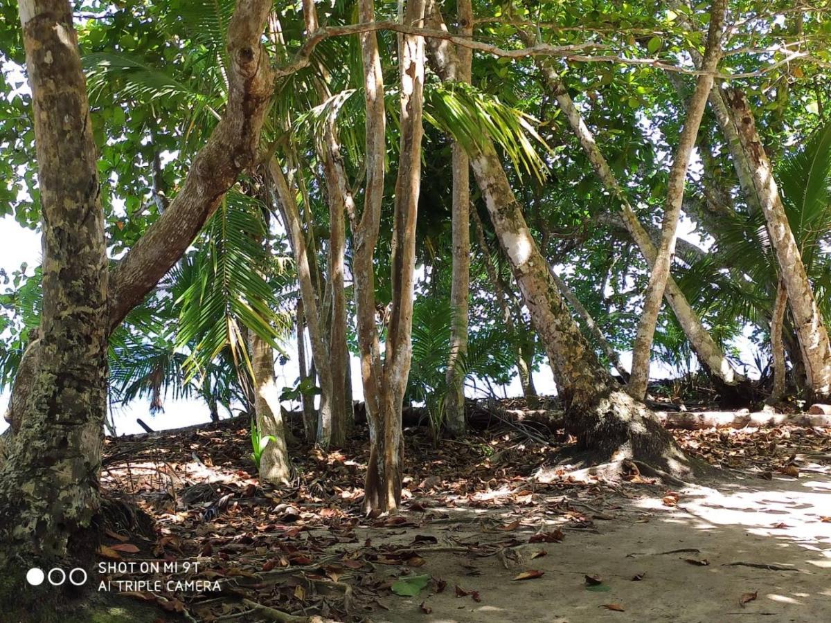 Madre Selva Hostel Puerto Viejo de Talamanca 外观 照片