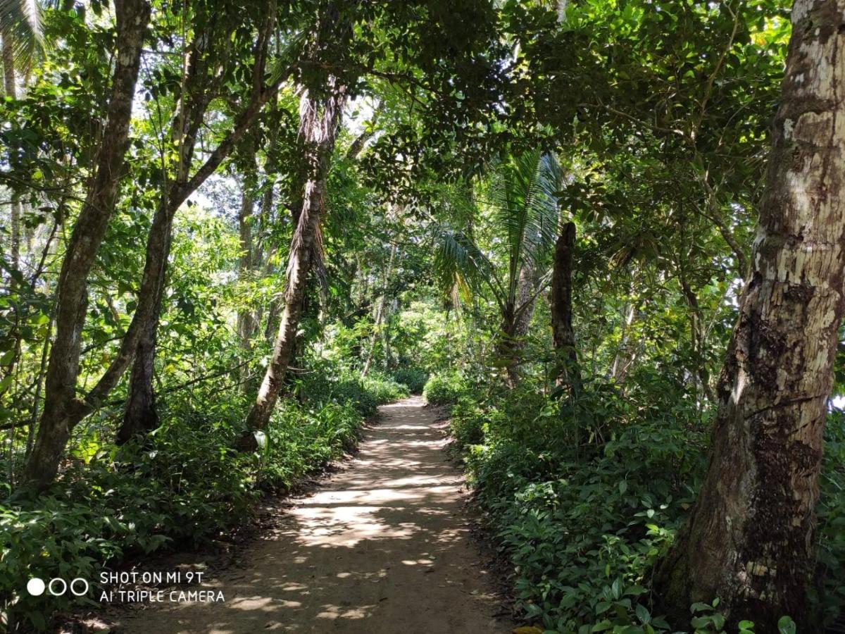 Madre Selva Hostel Puerto Viejo de Talamanca 外观 照片