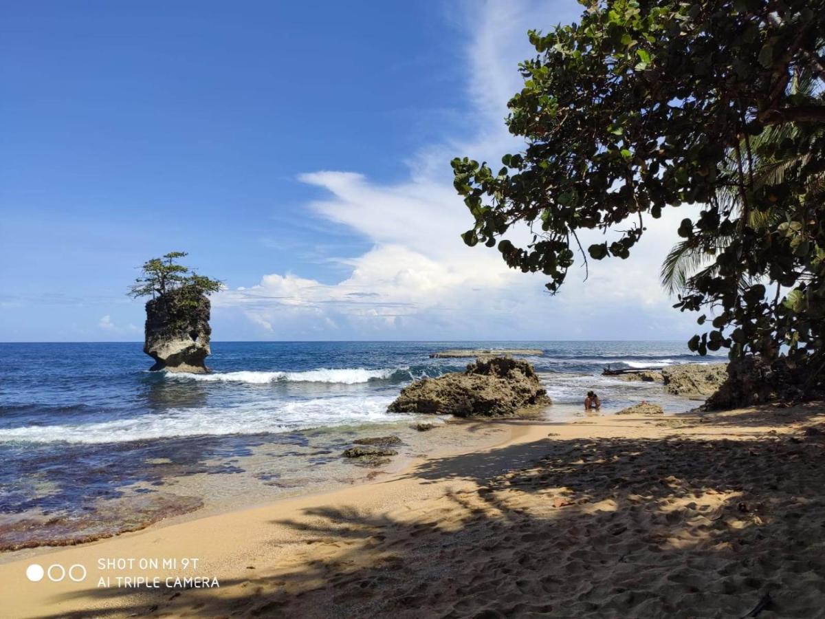 Madre Selva Hostel Puerto Viejo de Talamanca 外观 照片