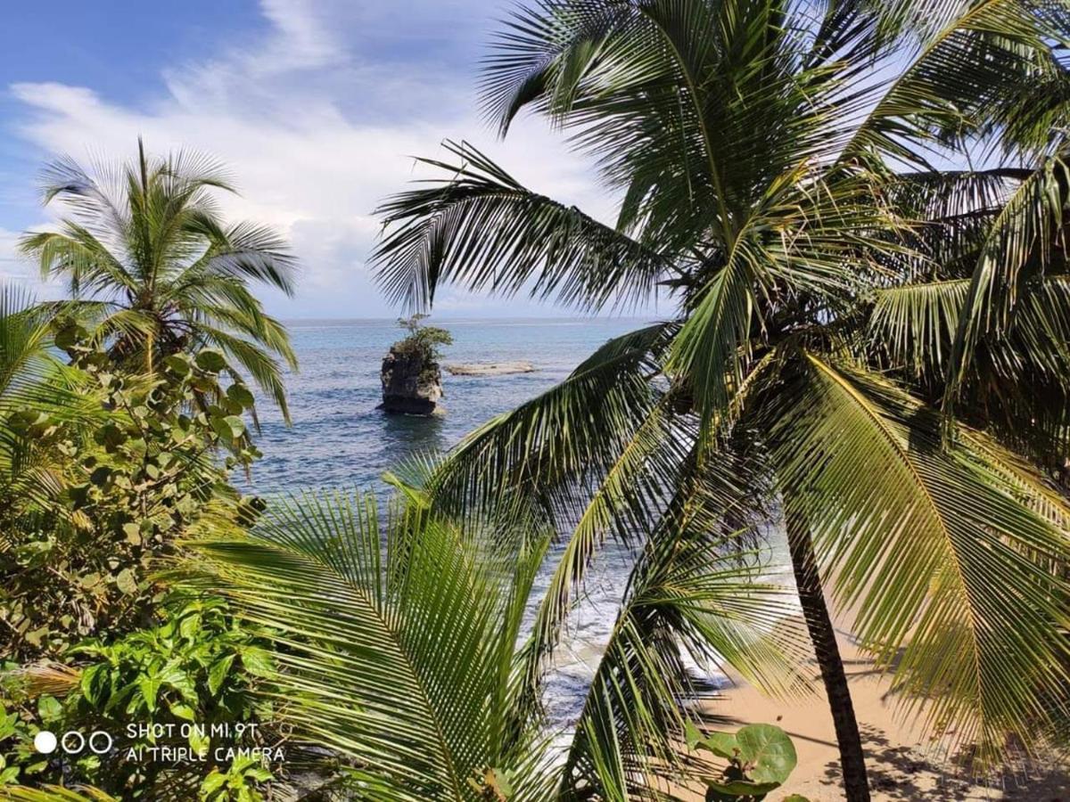 Madre Selva Hostel Puerto Viejo de Talamanca 外观 照片
