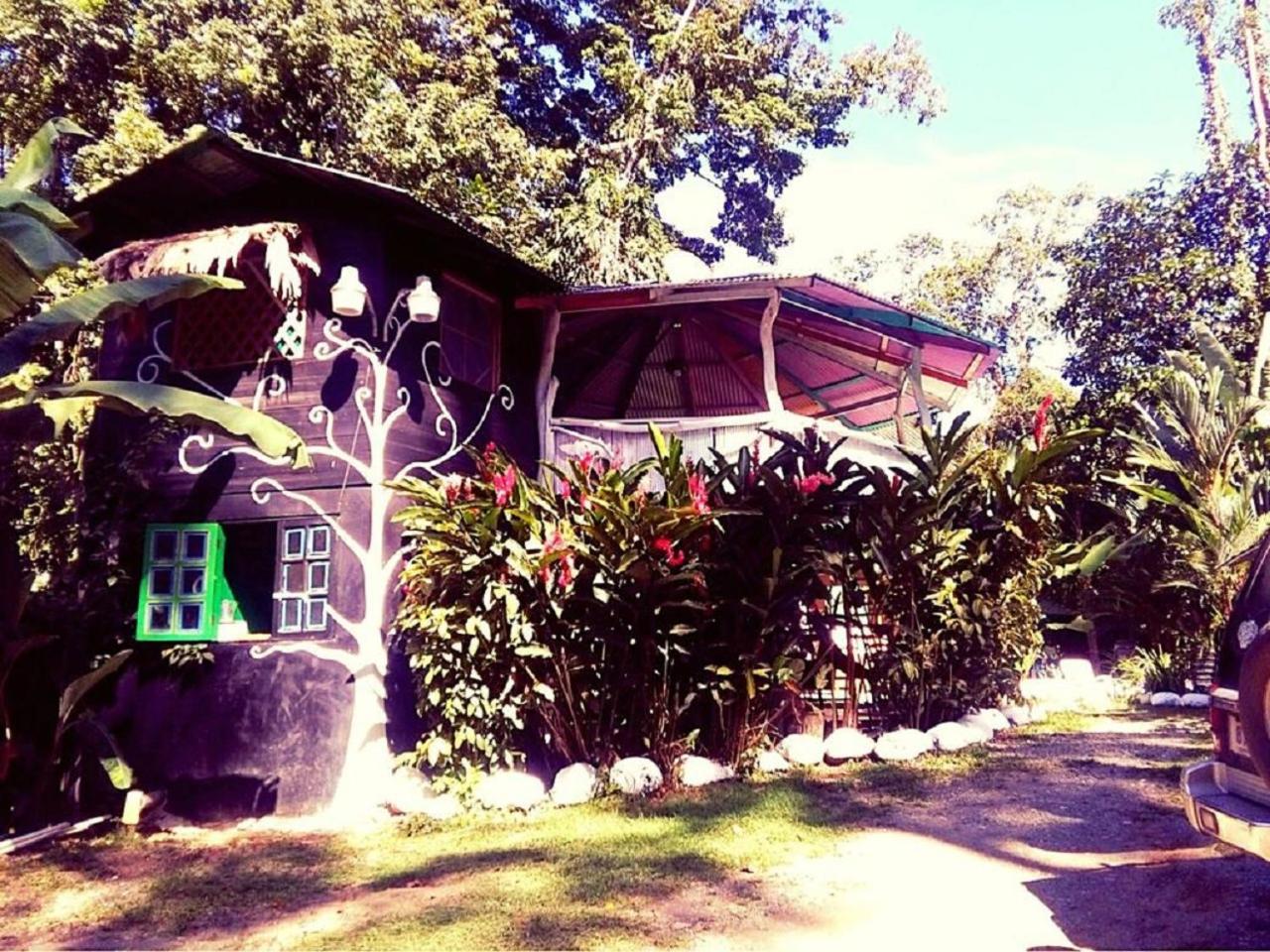 Madre Selva Hostel Puerto Viejo de Talamanca 外观 照片