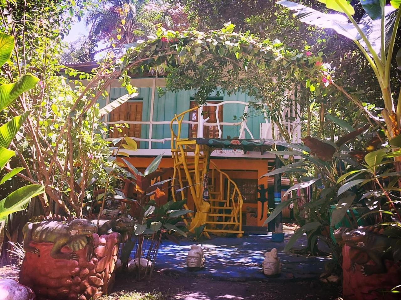 Madre Selva Hostel Puerto Viejo de Talamanca 外观 照片