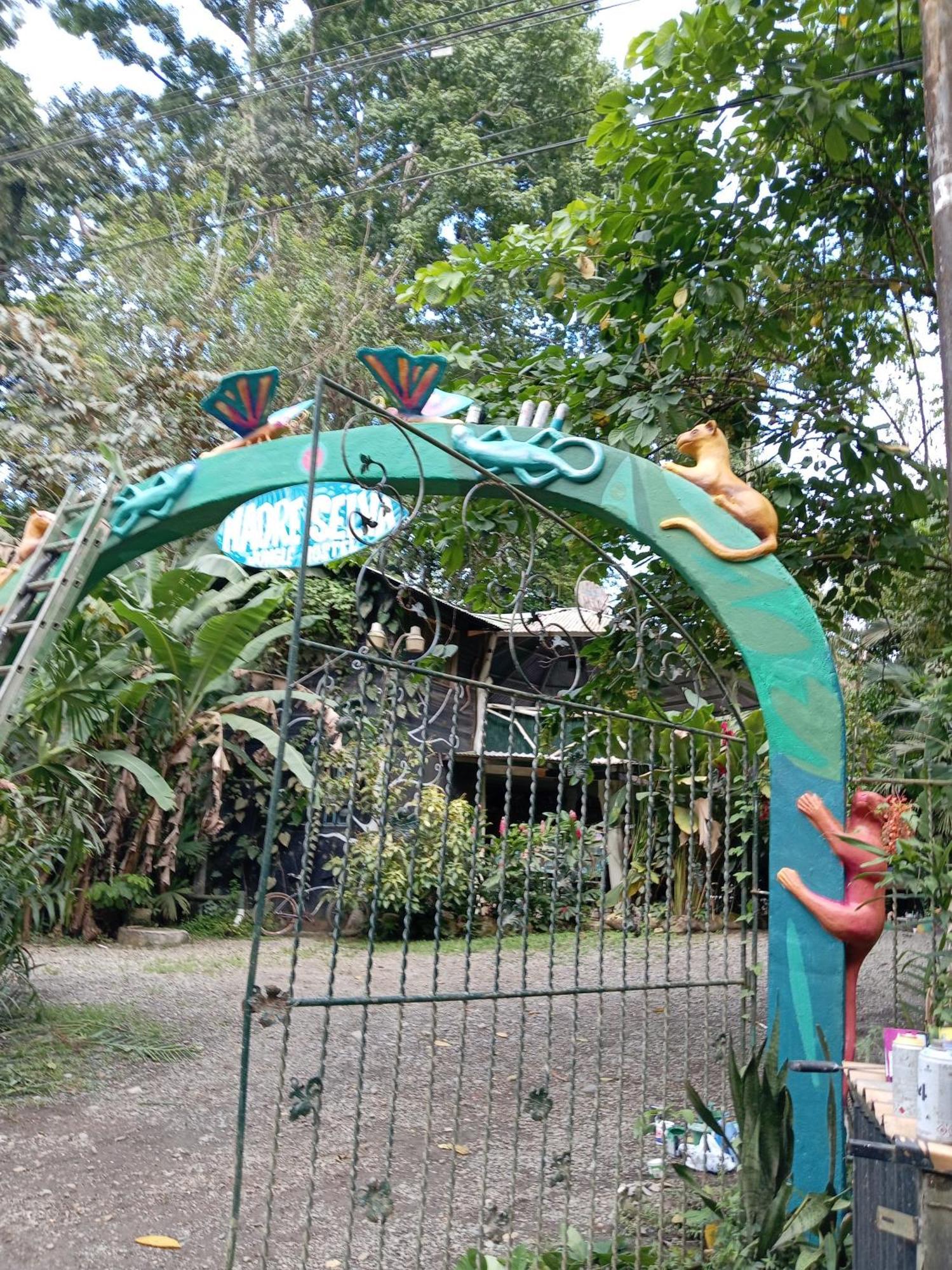Madre Selva Hostel Puerto Viejo de Talamanca 外观 照片