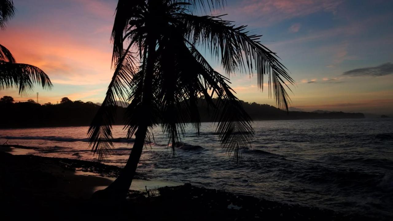 Madre Selva Hostel Puerto Viejo de Talamanca 外观 照片