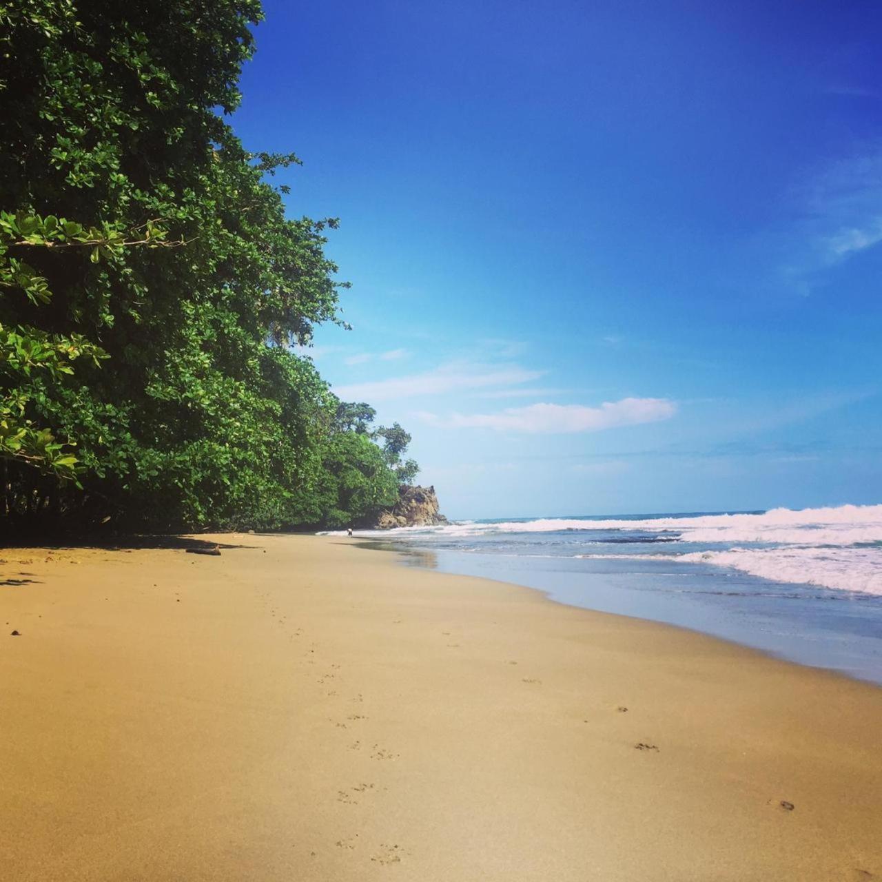 Madre Selva Hostel Puerto Viejo de Talamanca 外观 照片
