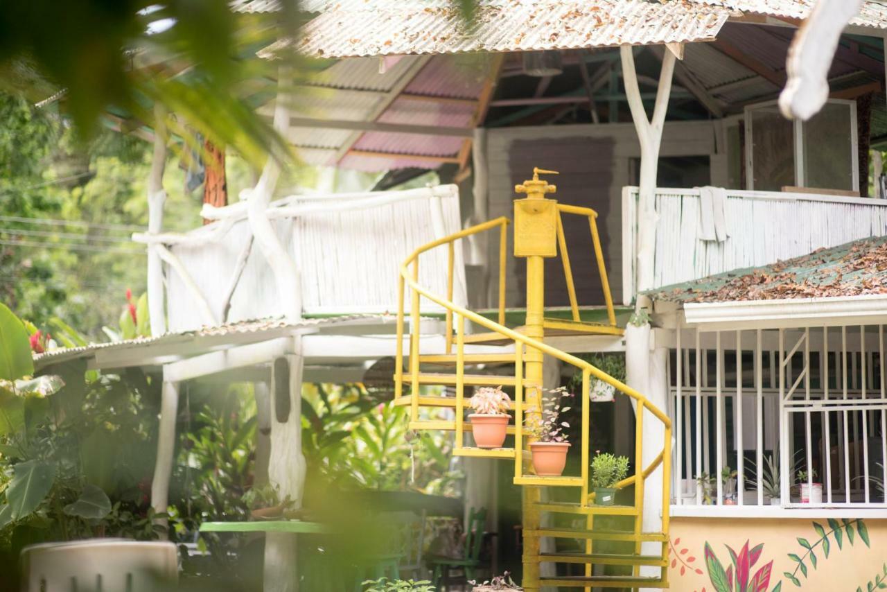 Madre Selva Hostel Puerto Viejo de Talamanca 外观 照片