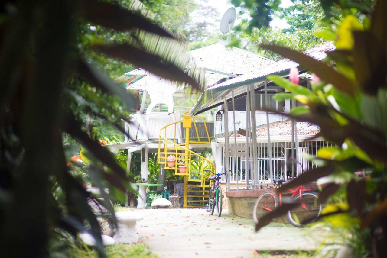 Madre Selva Hostel Puerto Viejo de Talamanca 外观 照片