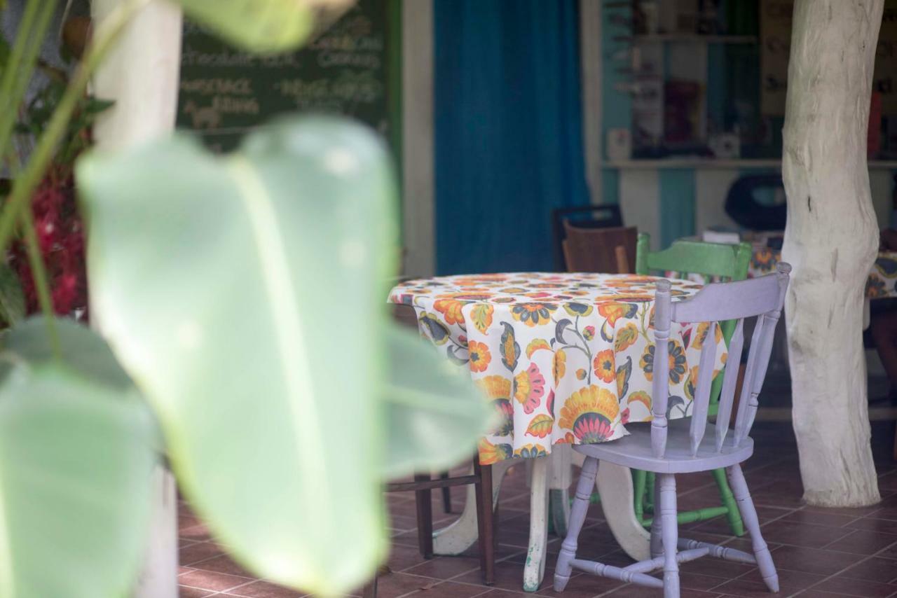 Madre Selva Hostel Puerto Viejo de Talamanca 外观 照片
