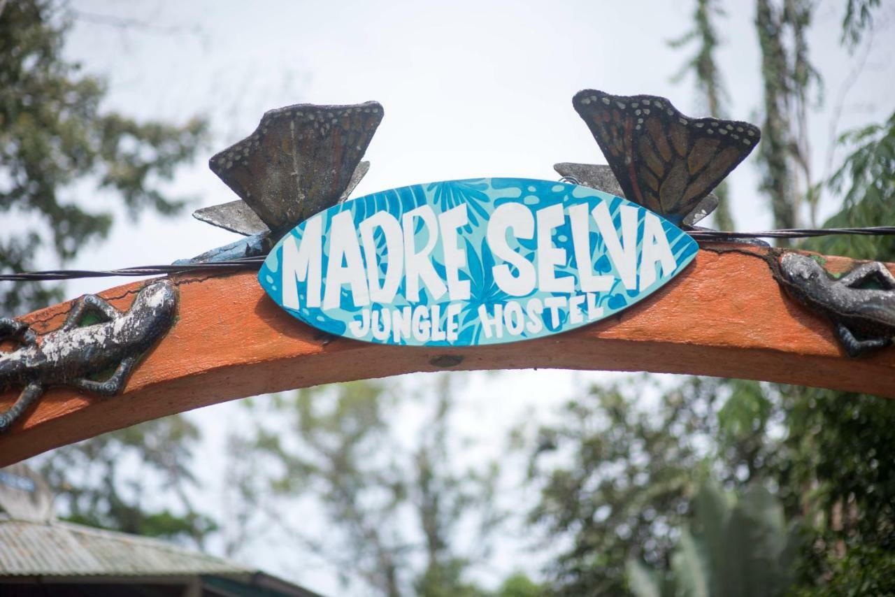 Madre Selva Hostel Puerto Viejo de Talamanca 外观 照片