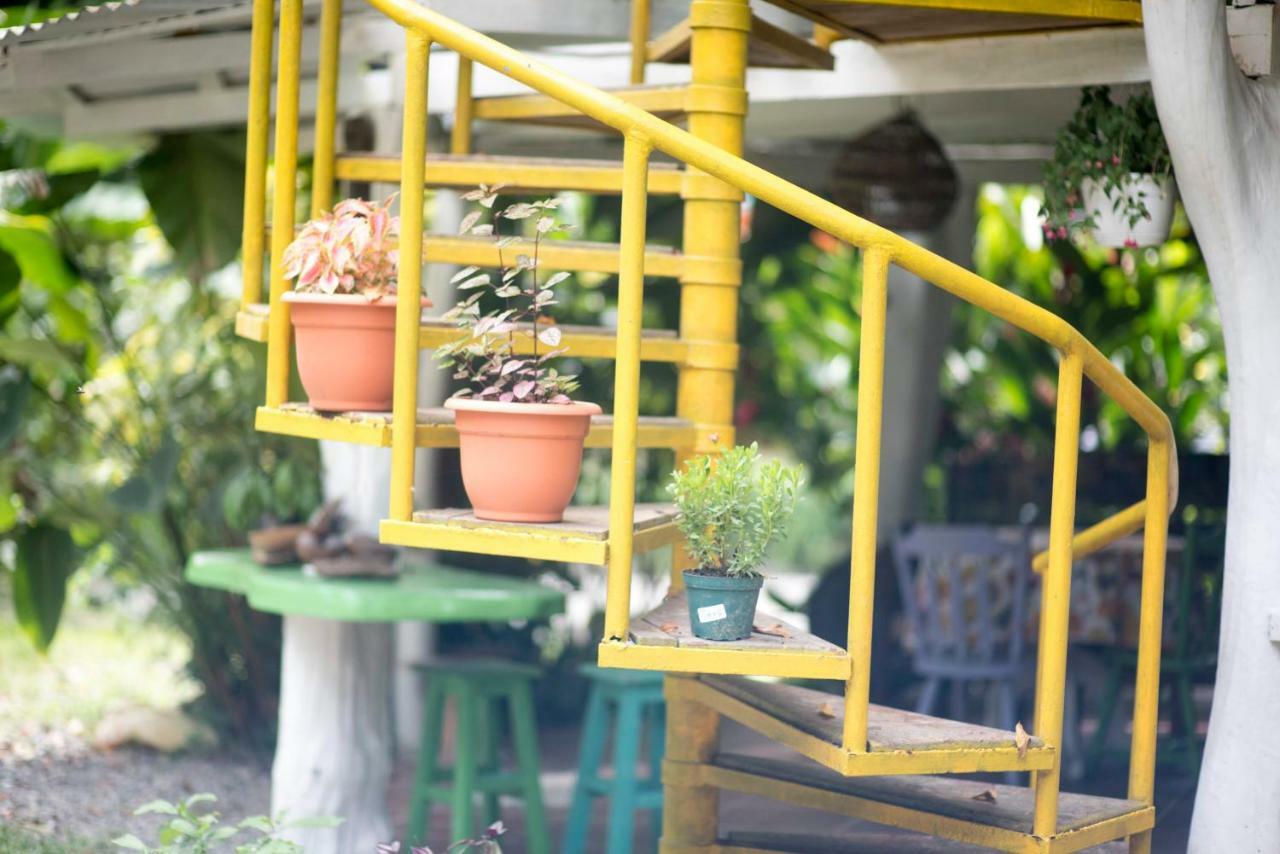 Madre Selva Hostel Puerto Viejo de Talamanca 外观 照片