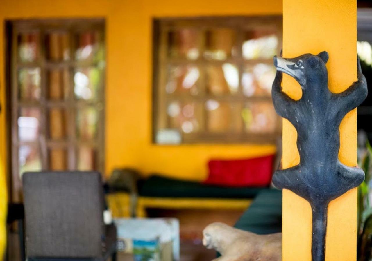 Madre Selva Hostel Puerto Viejo de Talamanca 外观 照片