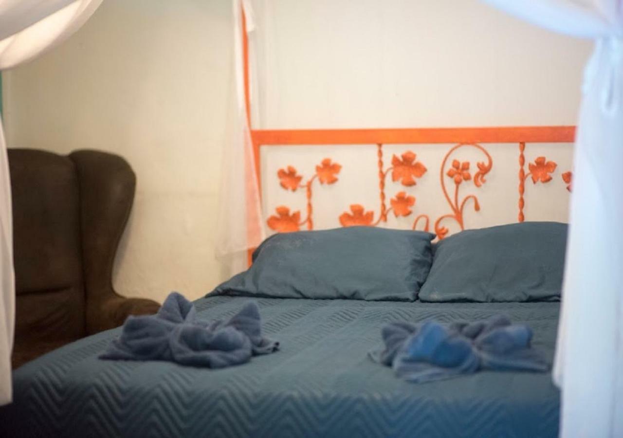 Madre Selva Hostel Puerto Viejo de Talamanca 外观 照片