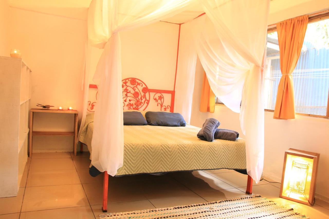 Madre Selva Hostel Puerto Viejo de Talamanca 外观 照片